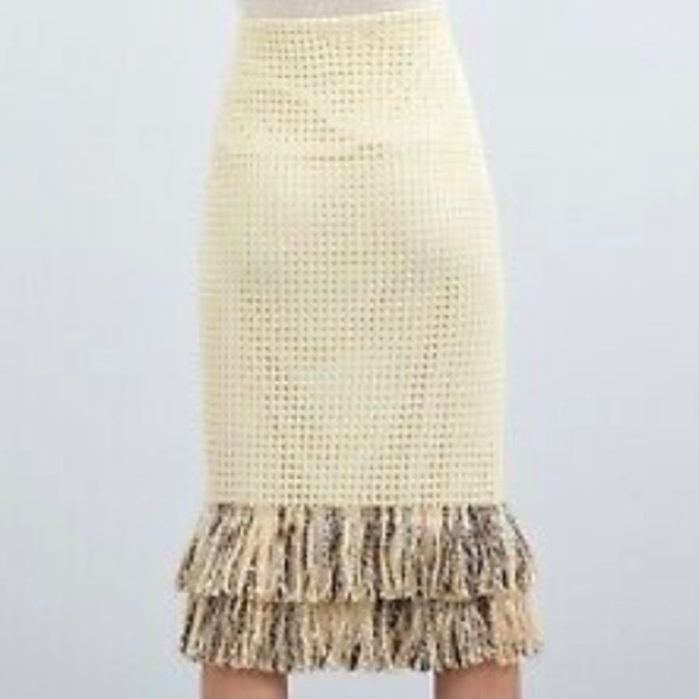 Zara Women’s Mesh Skirt With Fringe Hem
